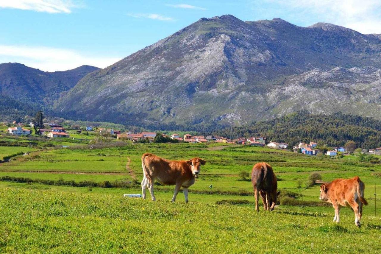 Apartamento Encanto del Sella Cangas de Onís Exterior foto